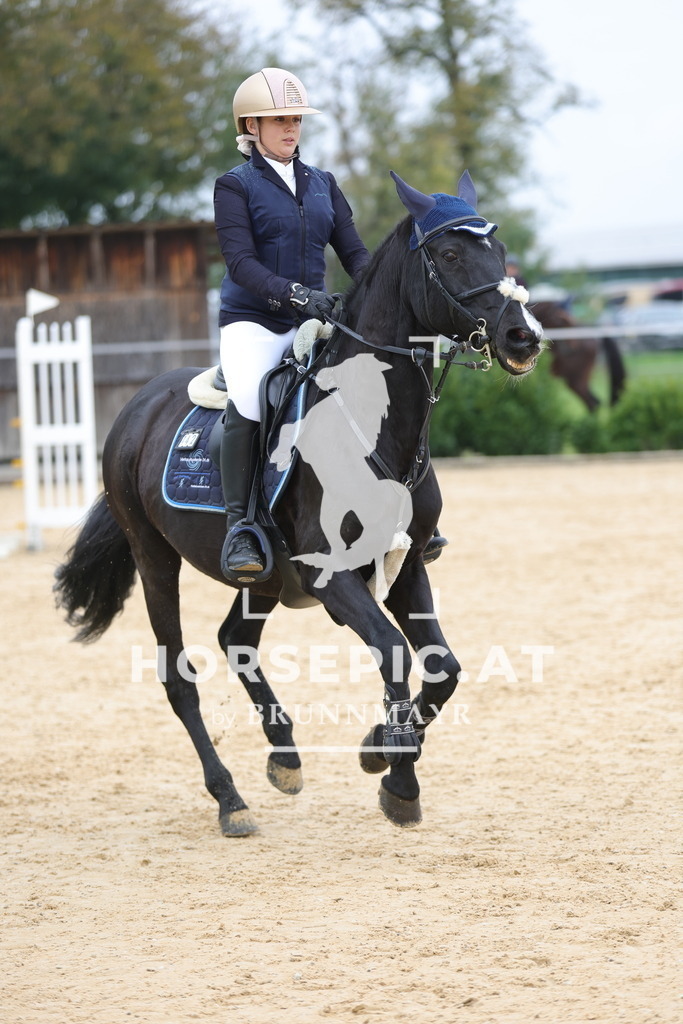 0P6A2219 | Willkommen bei Brunnmayr - Design & Fotografie – Ihrem Spezialisten für Reitturniere und Pferdeveranstaltungen in Oberösterreich, Salzburg und Bayern! Seit über 17 Jahren sind wir leidenschaftlich dabei.