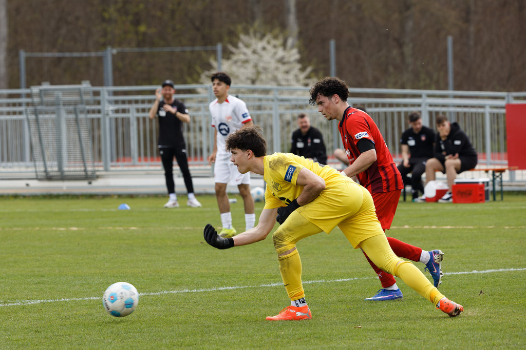 FCHOFK_260418_6-132 | 1.FC Heidenheim 1846 vs. Offenbacher Kickers, Fußball, U17, B-Junioren, NWL, U17-DFB-Nachwusliga, 2025/2026, 10. Spieltag, 18.04.2026 in Heidenheim, Walter-Birkhold-Jugendstadion (Foto: Michael Bulling) - Realisiert mit Pictrs.com