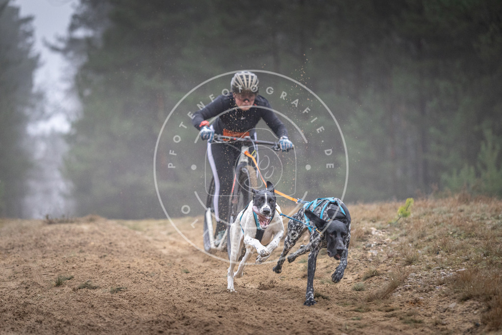 Pfotenfotografie_DV3A0793 | Hundefotografie, Tierfotograf, Pfotenfotografie, Fotoshooting Hund, Hunde Portrait, Hundesport, Hundeportraits, Heideshooting, Hunde, Sportfotograf, Hundefotograf, Turnierhundsport, THS,  - Realisiert mit Pictrs.com