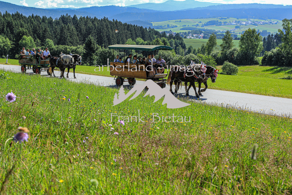 OE7A5553 | Seit Jahrzehnten gibt es diese eindrucksvolle Pferdeveranstaltung der Pferdefreunde Rinchnach. Der Ursprung, bei der Gedächtnisfahrt an bereits verstorbene Pferdefreunde zu erinnern ist bis heute geblieben.