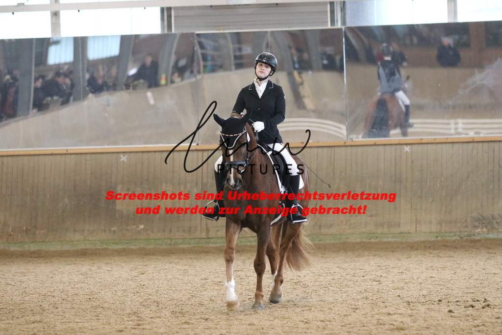 IMG_4350 | lmwpictures - Realisiert mit Pictrs.com