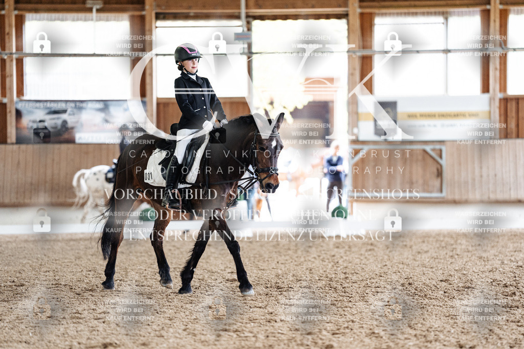 CK901261 | Turnierfotografie Pferdefotografie Trier Rheinland-Pfalz Pferdesport Reitsport Tierfotografie Sportfotografie Pferdevideo Pferdevideografie Equestrianvideography equestrianphotography  - Realized with Pictrs.com