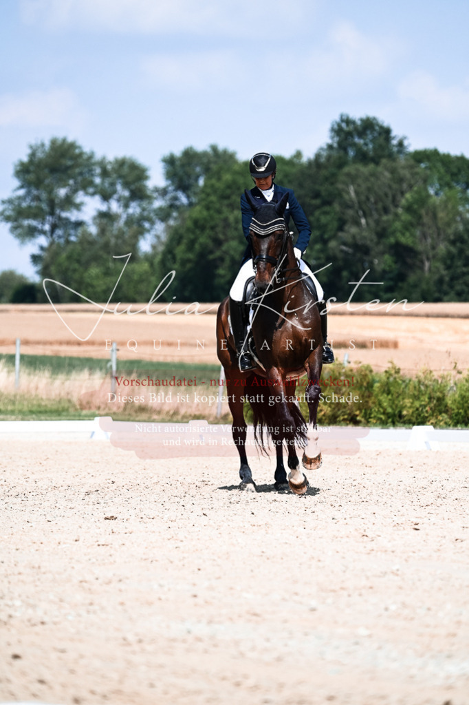 DSC_2910 | Pferde- und Turnierfotografie in Westsachsen. Pferdeportraits, Auftragszeichnungen und intuitive Kunst.