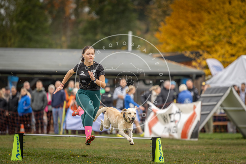 Pfotenfotografie_DV3A3118 | Hundefotografie, Tierfotograf, Pfotenfotografie, Fotoshooting Hund, Hunde Portrait, Hundesport, Hundeportraits, Heideshooting, Hunde, Sportfotograf, Hundefotograf, Turnierhundsport, THS,  - Realisiert mit Pictrs.com