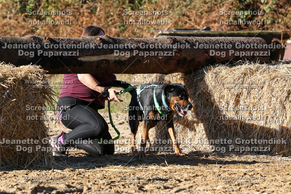 Dog Paparazzi - Strongdog 10-25-1891 | Dog Paparazzi Jeanette Grottendiek Fotografie & Videografie - Realisiert mit Pictrs.com