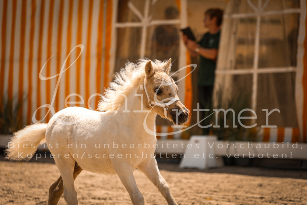 01.DoKR00177 | Leoni Ertmer Photography - Realisiert mit Pictrs.com