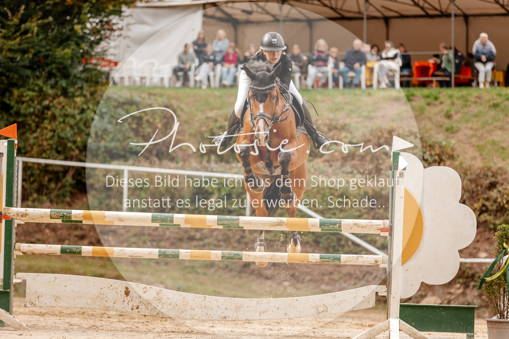 3I6A8241 | Stimmungsvolle Portraits und Reitsportfotografie im Ruhrgebiet und im Münsterland.

Pferdefotografie, Hundefotografie, Tierfotografie, Reportagen, Portraits von Tier und Mensch, Turnierfotografie in Bochum, Recklinghausen, Marl, Haltern am See, Dülmen.. - Realisiert mit Pictrs.com