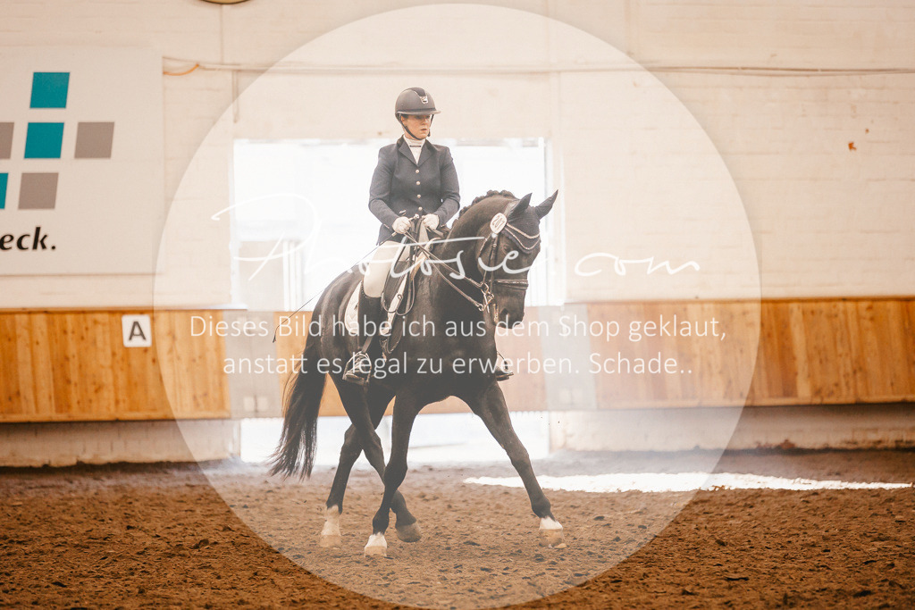 3I6A2257 | Stimmungsvolle Portraits und Reitsportfotografie im Ruhrgebiet und im Münsterland.

Pferdefotografie, Hundefotografie, Tierfotografie, Reportagen, Portraits von Tier und Mensch, Turnierfotografie in Bochum, Recklinghausen, Marl, Haltern am See, Dülmen.. - Realisiert mit Pictrs.com
