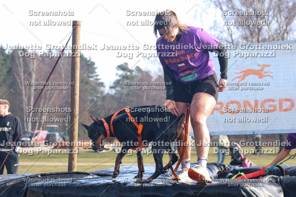Dog Paparazzi - Strongdog North Mrz26-1056 | Dog Paparazzi Jeanette Grottendiek Fotografie & Videografie - Realisiert mit Pictrs.com
