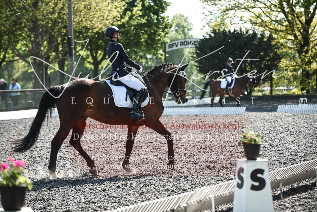 DSC_8884 | Pferde- und Turnierfotografie in Westsachsen. Pferdeportraits, Auftragszeichnungen und intuitive Kunst.