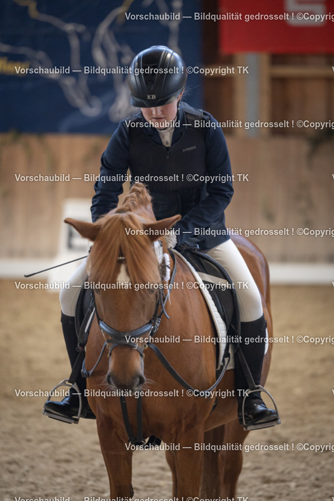 _D5A5707 | Emotionale Pferde- & People-Fotografie rund um Heidelberg, Leimen & Umgebung. Natürliche Fotos von Pferd, Mensch & Familie. Jetzt Termin sichern!