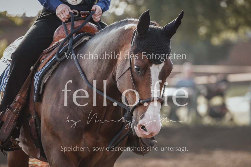 fell.o.fie_mandyjordan_2024_06_00189 | Mandy Klecke Fellfotografie, fell.o.fie Fotografenshop - Realisiert mit Pictrs.com
