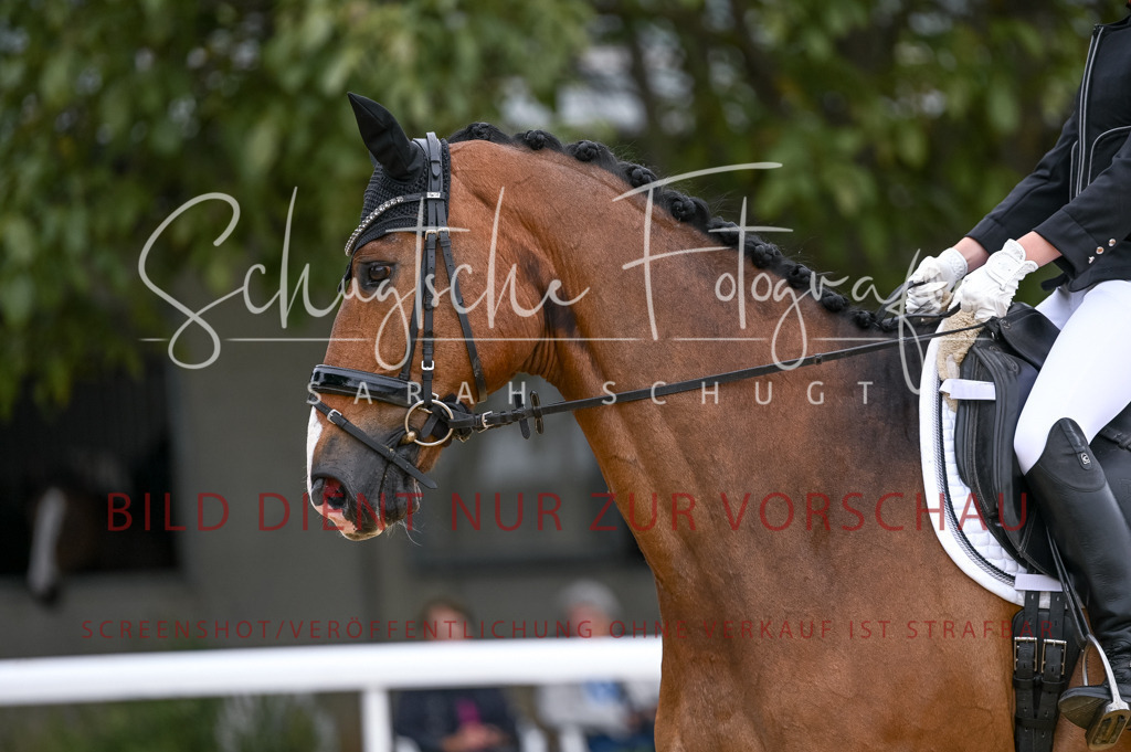 Schugtsche-Aluta25-42.EDressur -139 | Schugtsche Fotografie - Realisiert mit Pictrs.com