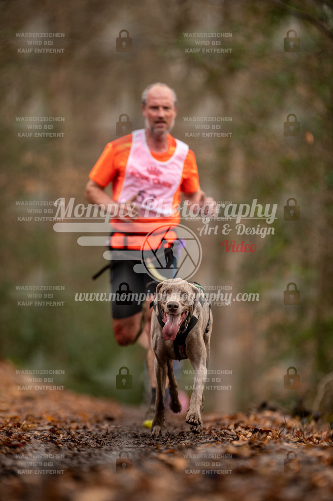 SPA_2023_DIM_CCL-101 | PayLife