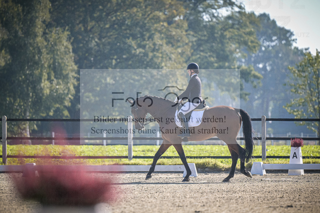 DOS_0105 | Entdecke hochwertige Reitturnierfotos von Foto Oger. Professionell, emotional und authentisch – jetzt Lieblingsmomente im Shop bestellen.Deutschlandweite Turnierfotografie. - Realisiert mit Pictrs.com