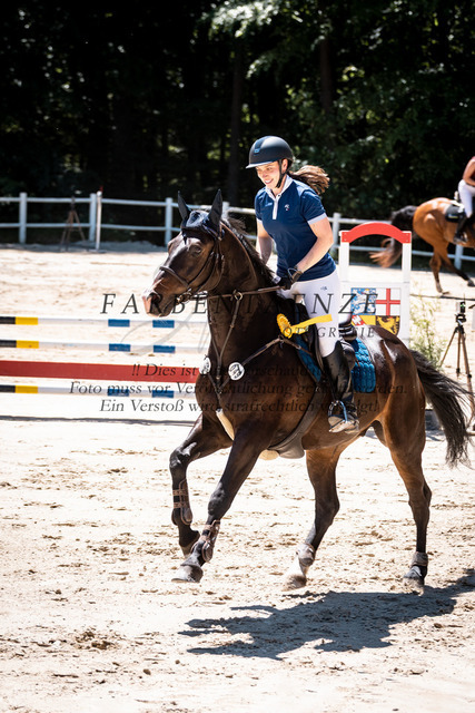 DSC_8296 | farbentaenzefotografie - Realisiert mit Pictrs.com