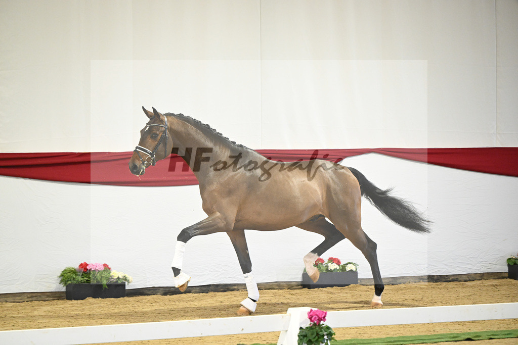 Kat-Nr. 47 v. For Romance I_Haefner_63221195 | hf-fotografie - Realisiert mit Pictrs.com