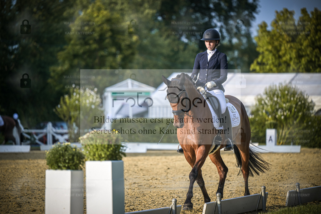 DOS_1807 | Entdecke hochwertige Reitturnierfotos von Foto Oger. Professionell, emotional und authentisch – jetzt Lieblingsmomente im Shop bestellen. - Realisiert mit Pictrs.com