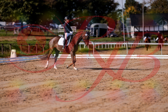 2026_10_03_Siefer-Hof_114857_Z81_88140956 | Professionelle Reitsport-, Turnier- und Eventfotografie von Robert Broda. Galerien mit ausgewählten und bearbeiteten Bildern direkt online ansehen und bestellen.
