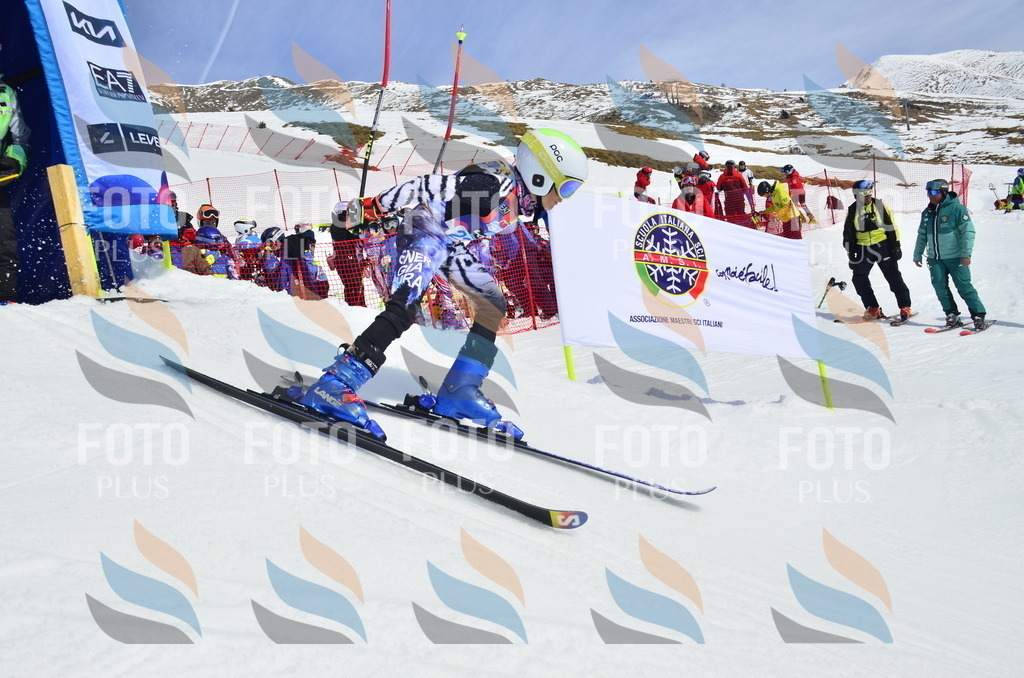 _ELE1545 | holidayphoto