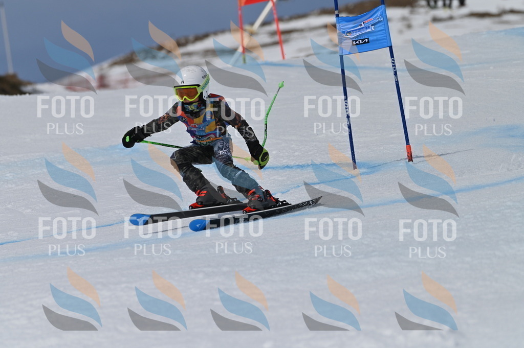 BGV_6959 | holidayphoto