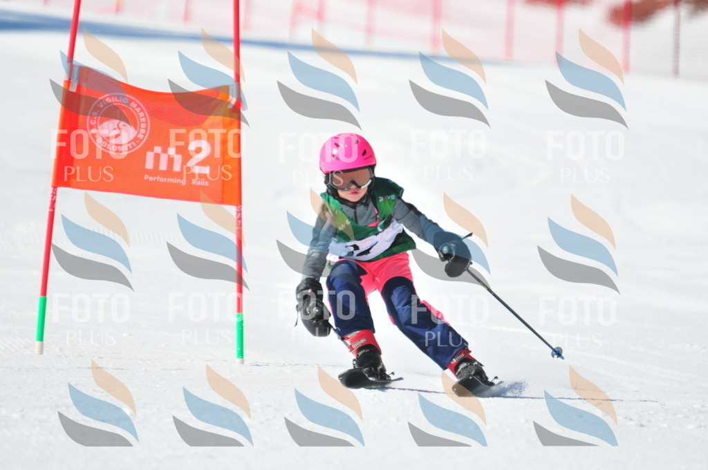 C2664 | holidayphoto