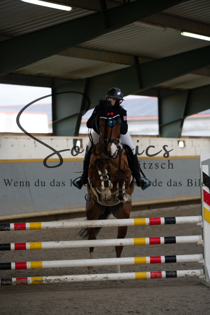 A7V02553 | Pferdefotograf