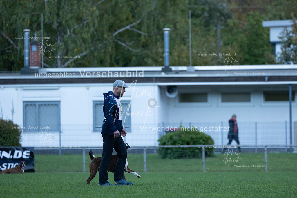 _16A4513 | Einzigartige Fotos von Hunden & Menschen –Actionfotos, Portraits, Vereinsaufnahmen & Paarshootings – authentisch, lebendig & mit Herz.