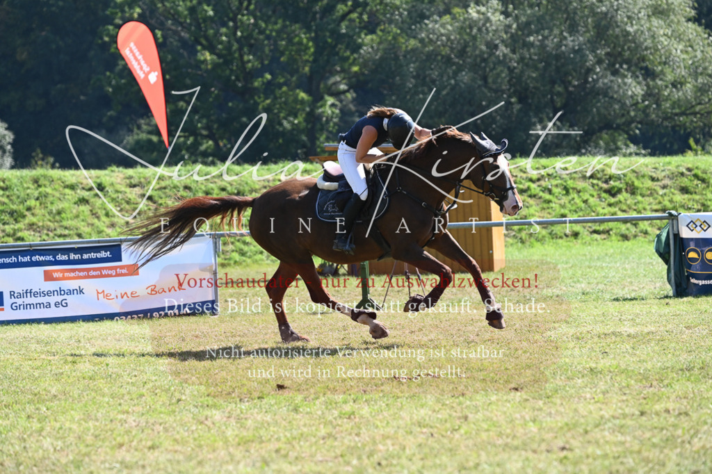 DSC_6476 | Pferde- und Turnierfotografie in Westsachsen. Pferdeportraits, Auftragszeichnungen und intuitive Kunst.