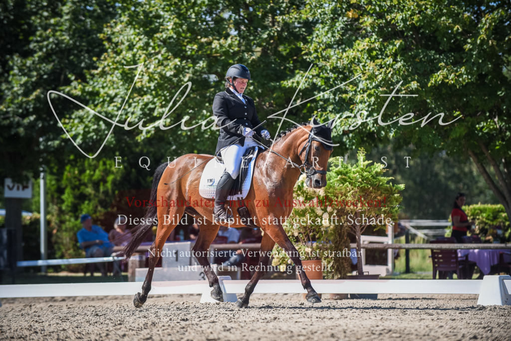 DSC_9634 | Pferde- und Turnierfotografie in Westsachsen. Pferdeportraits, Auftragszeichnungen und intuitive Kunst.