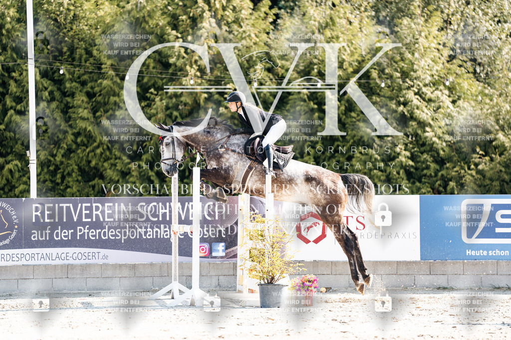 CK902254 | Turnierfotografie Pferdefotografie Trier Rheinland-Pfalz Pferdesport Reitsport Tierfotografie Sportfotografie Pferdevideo Pferdevideografie Equestrianvideography equestrianphotography  - Realisiert mit Pictrs.com