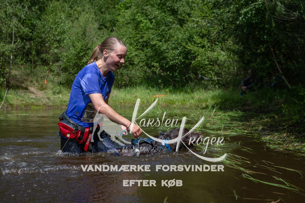 1200DKK991512 | kk-dogfotos
