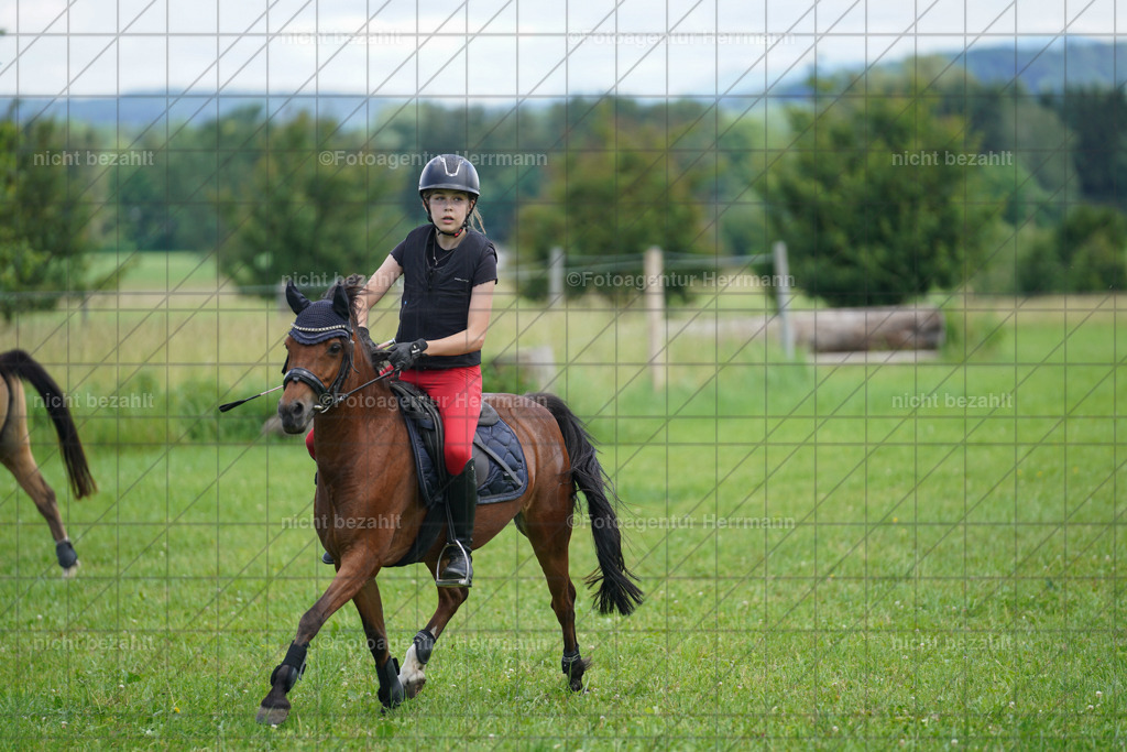 20240622-FAH07386 | Turnierfotografen Bayern, Reitsportbilder aus dem Geländekurs mit Felix Etzel auf dem Gut Waitzacker 2024