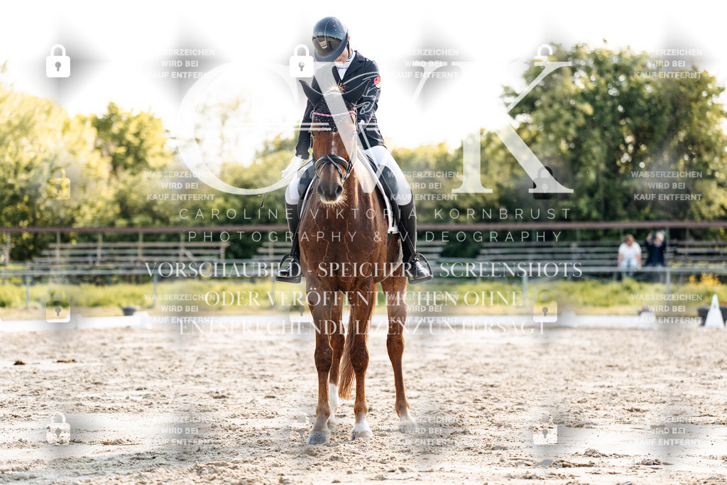 CK909783 | Turnierfotografie Pferdefotografie Trier Rheinland-Pfalz Pferdesport Reitsport Tierfotografie Sportfotografie Pferdevideo Pferdevideografie Equestrianvideography equestrianphotography  - Realisiert mit Pictrs.com