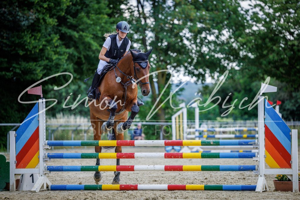 20260705-_3LI4538 | Tierfotografie Pferde, Hunde, Katzen, Haustiere.
Turnierfotografie Reitturniere, Reiten, Springreiten, Dressur in Hanau, dem Main-Kinzig-Kreis und dem Rhein-Main- Gebiet um Frankfurt