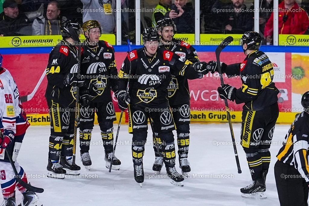 xYDRx16012601027 | 16.01.2026, xydrx, Eishockey, DEL2, Krefeld Pinguine - EHC Freiburg, Yayla-Arena Krefeld : Torjubel nach dem Tor zum 5:0 für die Krefeld Pinguine durch Torschütze Leonhard Korus (Krefeld Pinguine #56) zusammen mit Max Newton (Krefeld Pinguine #37) und Mathew Santoa (Krefeld Pinguine #95) und Zack Dybowski (Krefeld Pinguine #44) und Philip Gogulla (Krefeld Pinguine #87) Photo: xYannisxDreimannxPressefotoKochx
