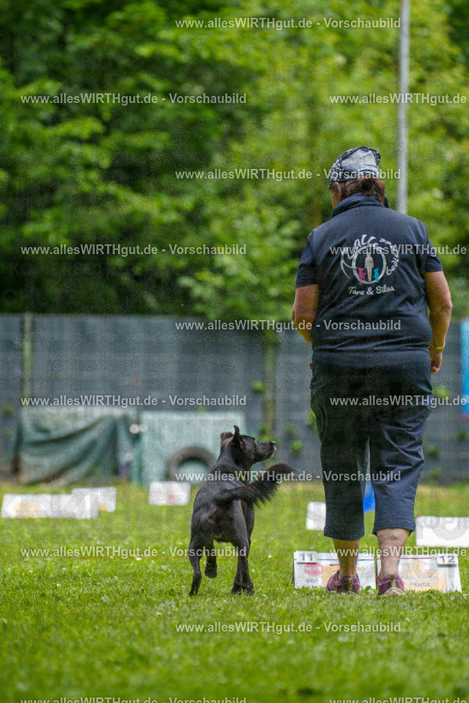 @allesWIRTHgut_Tierfotografie - www.allesWIRTHgut.de - 124428-7R509392 | Professionelle Tierfotografie in Mönchengladbach von Daniel Wirth (allesWIRTHgut). Liebevolle & natürliche Bilder von Hunden & Katzen für unvergessliche Erinnerungen.