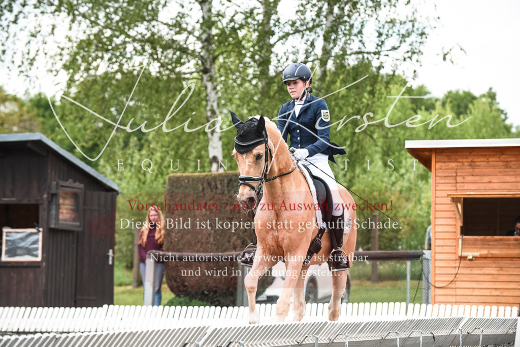 20230514_JK-Röhrsdorf-24-434 | Pferde- und Turnierfotografie in Westsachsen. Pferdeportraits, Auftragszeichnungen und intuitive Kunst.