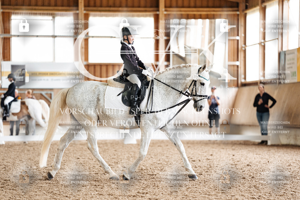 CK900367 | Turnierfotografie Pferdefotografie Trier Rheinland-Pfalz Pferdesport Reitsport Tierfotografie Sportfotografie Pferdevideo Pferdevideografie Equestrianvideography equestrianphotography  - Realisiert mit Pictrs.com