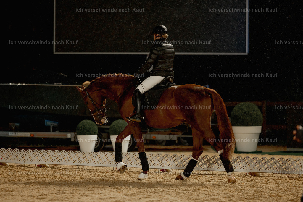 FHClassics-6 | working equitationturnier fotograf videograf stoibphotography marixx film working equitation deutschland reitsport turnierfotografie eventfotografie equestrian events