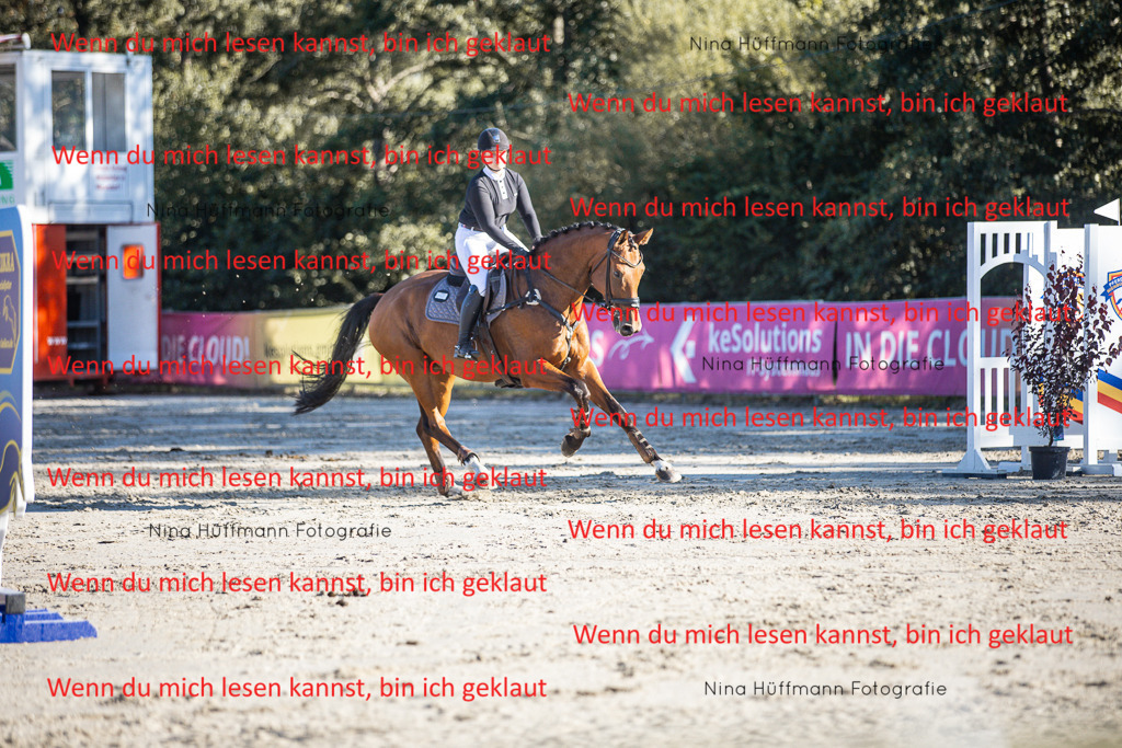 BK1A7741 | Turnierbilder Turnierfotos Nina Hüffmann Turnierfotografie Pferdefotografie Tierzeichnung Haustierzeichnung Pferdezeichnung Hundezeichnung Videograf  - Realisiert mit Pictrs.com