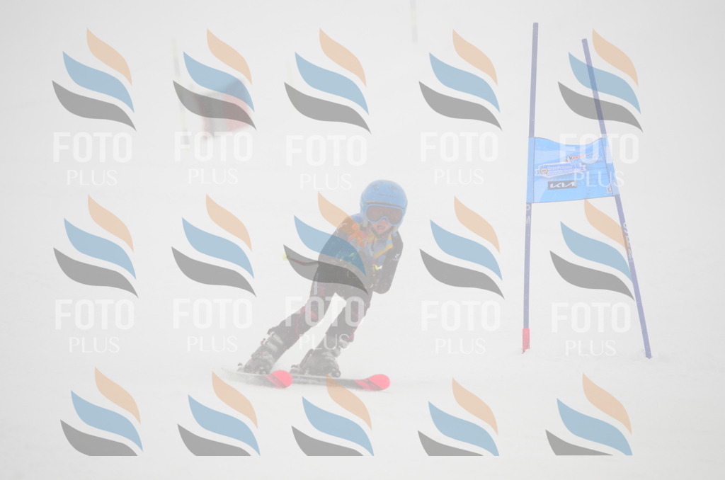 C0808 | holidayphoto