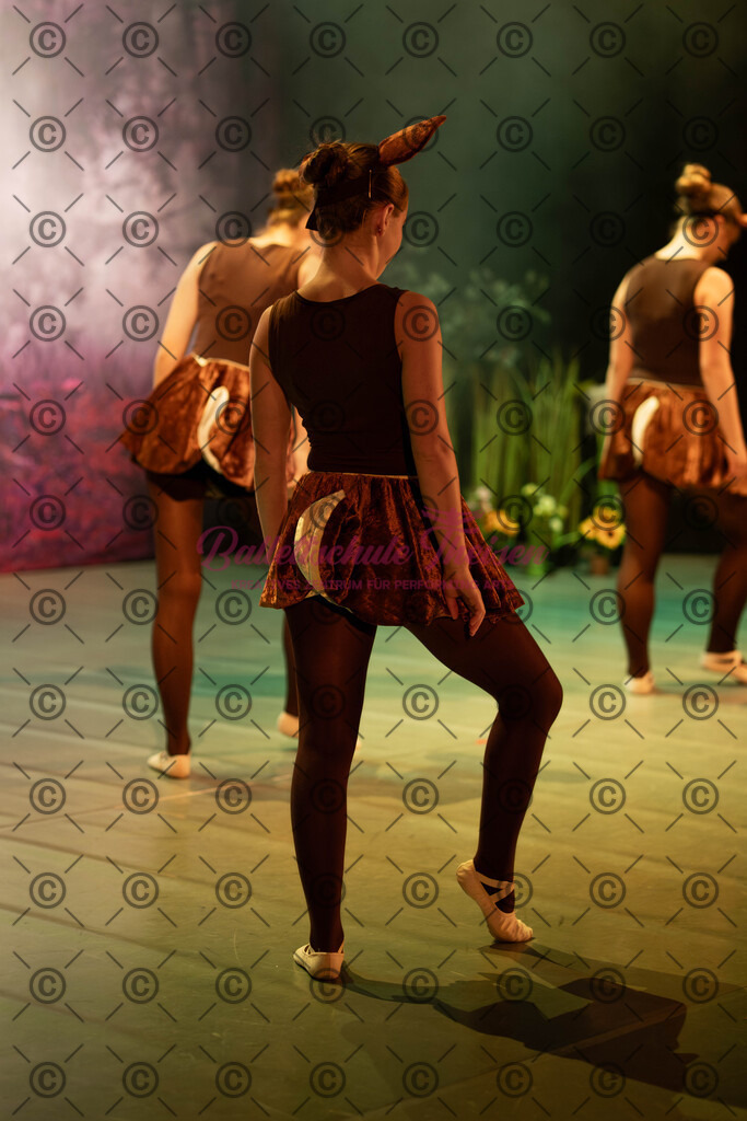 Ballettaufführung-1209 | Bildershop Lem'n Entertainment - Realisiert mit Pictrs.com
