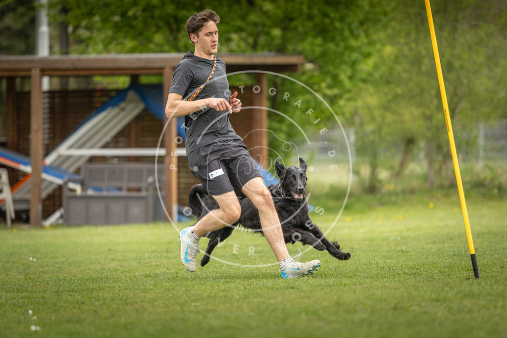 Pfotenfotografie_DV3A9761 | Hundefotografie, Tierfotograf, Pfotenfotografie, Fotoshooting Hund, Hunde Portrait, Hundesport, Hundeportraits, Heideshooting, Hunde, Sportfotograf, Hundefotograf, Turnierhundsport, THS,  - Realisiert mit Pictrs.com