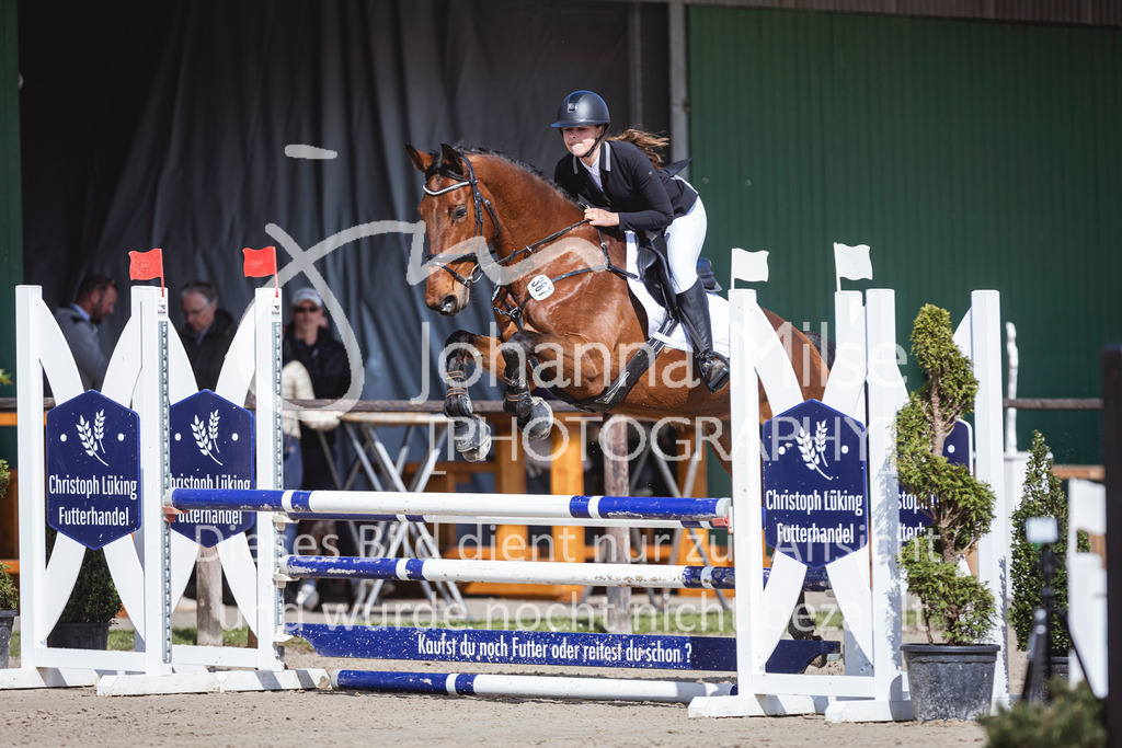 250419_Frühlingsfest_A-Stil1-443 | Deine schönsten Turniermomente als professionelle Fotos! Entdecke hochwertige Pferdesport-Fotografie im Online-Shop. Jetzt Fotos finden & bestellen!