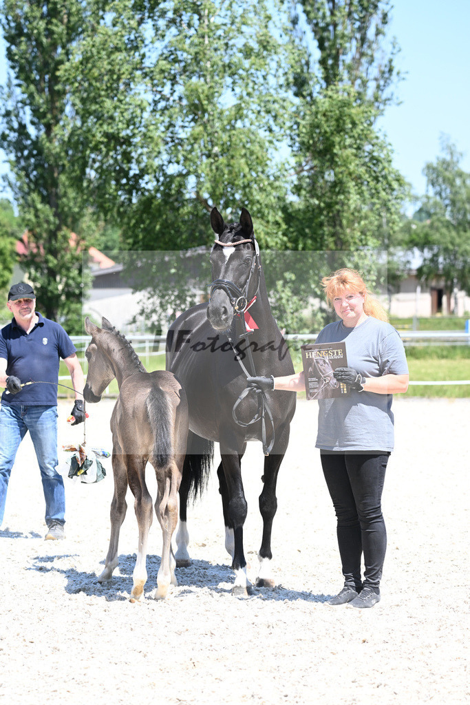 Kat-Nr. 7 HF Ellis_Kloessinger_16230713 | hf-fotografie - Realisiert mit Pictrs.com