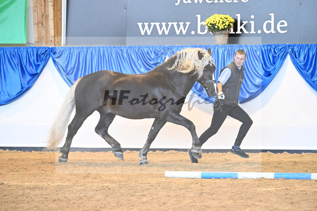 Kat-Nr. 115 Rodewald_HLG Marbach_53220827 | hf-fotografie - Realizzato con Pictrs.com