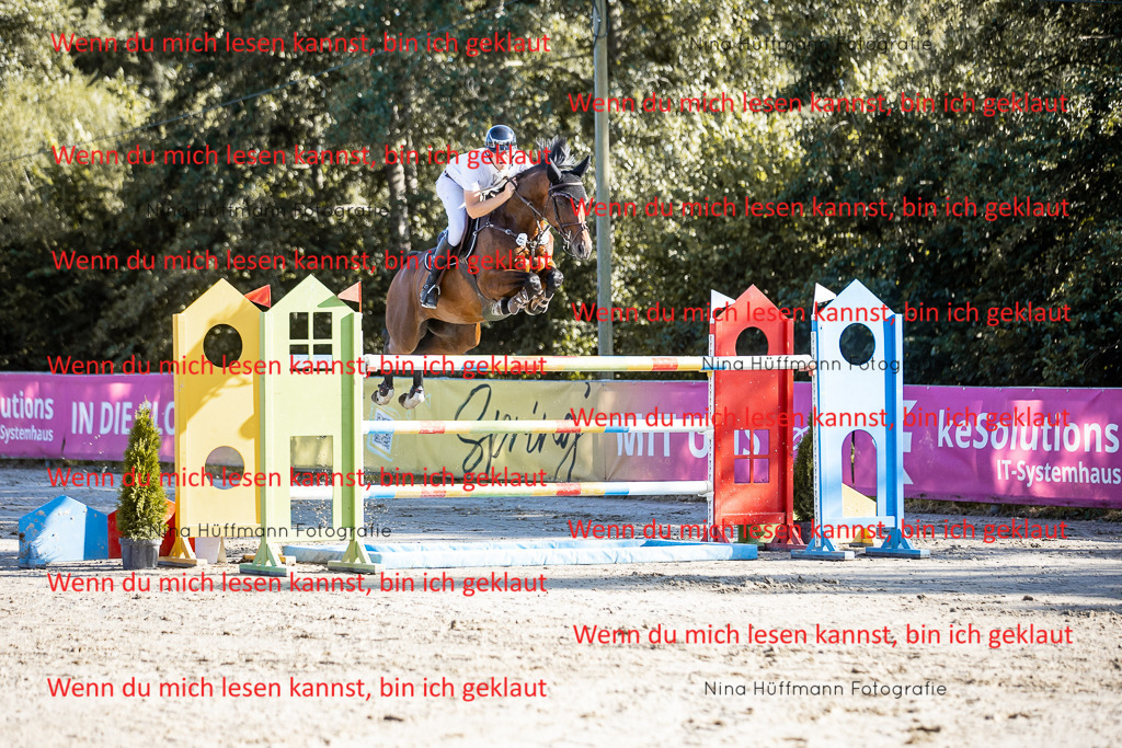 BK1A8618 | Turnierbilder Turnierfotos Nina Hüffmann Turnierfotografie Pferdefotografie Tierzeichnung Haustierzeichnung Pferdezeichnung Hundezeichnung Videograf  - Realisiert mit Pictrs.com