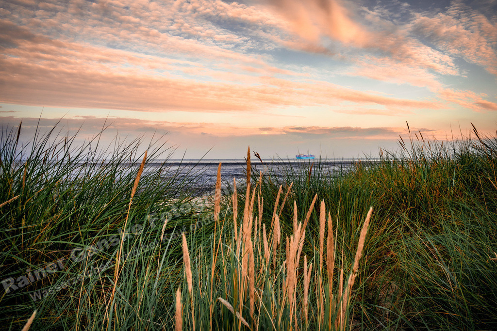 048 Schillig - 30-07-2022 -R Ganske.jpg | Rainer Ganske, www.RainerGanskeFotografie.de, www.RainerGanskeShop.de - Realisiert mit Pictrs.com