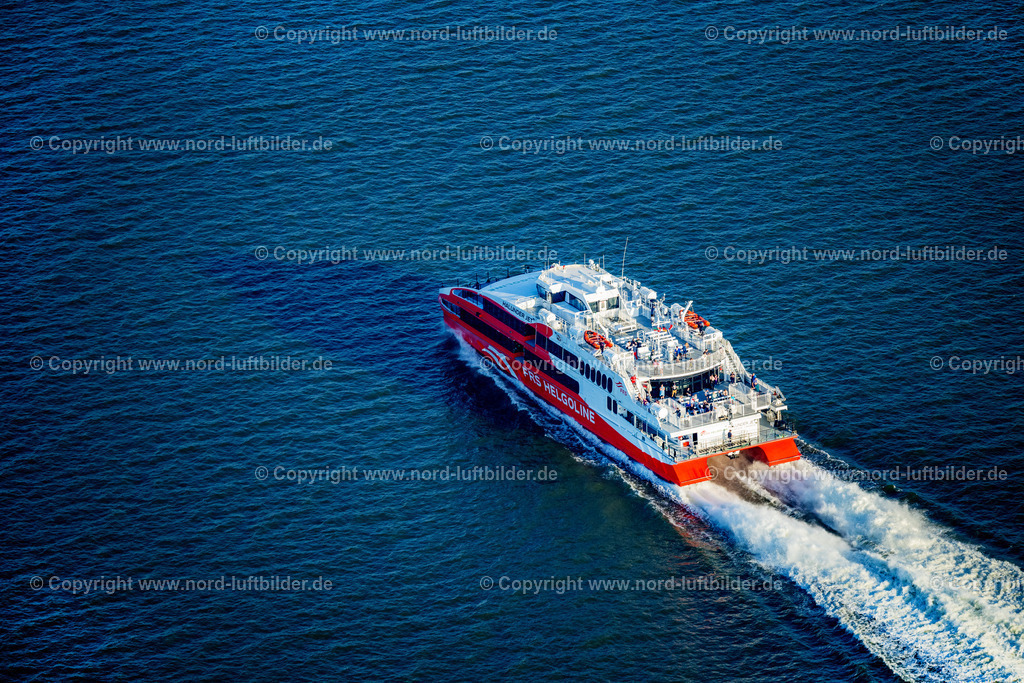 Halunder_Jet_FRS_Fähren_auf_der_Elbe_ELS_4771280824 | BRUNSBüTTEL 28.08.2024 Fährschiff " Halunder Jet " auf der Elbe in Glückstadt im Bundesland Schleswig-Holstein, Deutschland. // Ferry ship " Halunder Jet " on the Elbe in Glueckstadt in the state Schleswig-Holstein, Germany. Foto: Martin Elsen